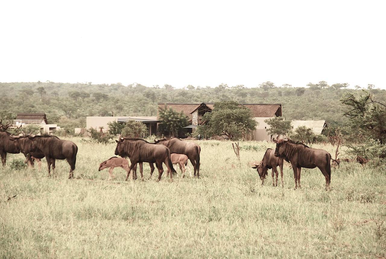Kruger Sunset Lodge Hectorspruit Экстерьер фото